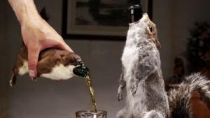 The End of History: Bier met 55 procent alcohol